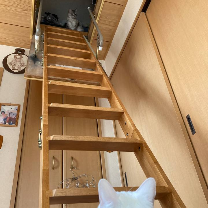 8bdbe79b 0d6f 4bc3 8b2f 04a0b259501d 1678082870489