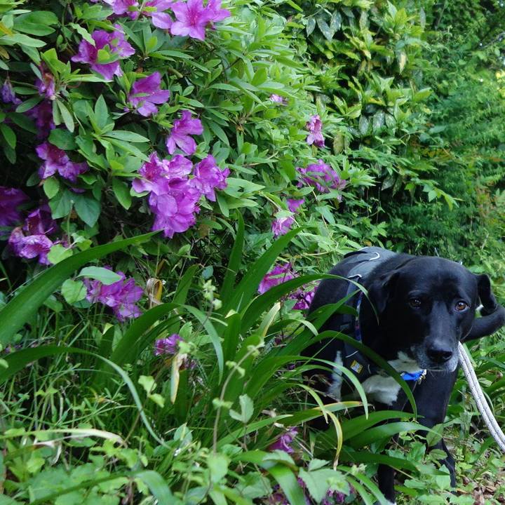 8bdbef4e 6f96 4ba1 b76e 62be5221a2b6 1651712108517