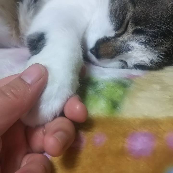 8bdc02b0 3ab0 4fb9 affc 7747cef3bde7 1617357920036