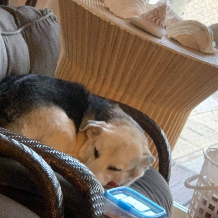 8bdc4fc3 ea80 4773 87e8 2e5695db70a3 1582197760468