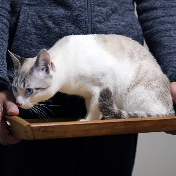 8bdc538c e377 4ff5 9918 b20a510a2a92 1614476052855