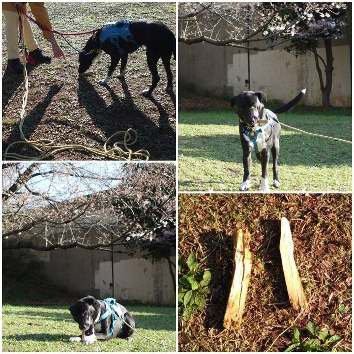 8bdc91bb 4141 4551 8147 dd27e266526f 1616460202200