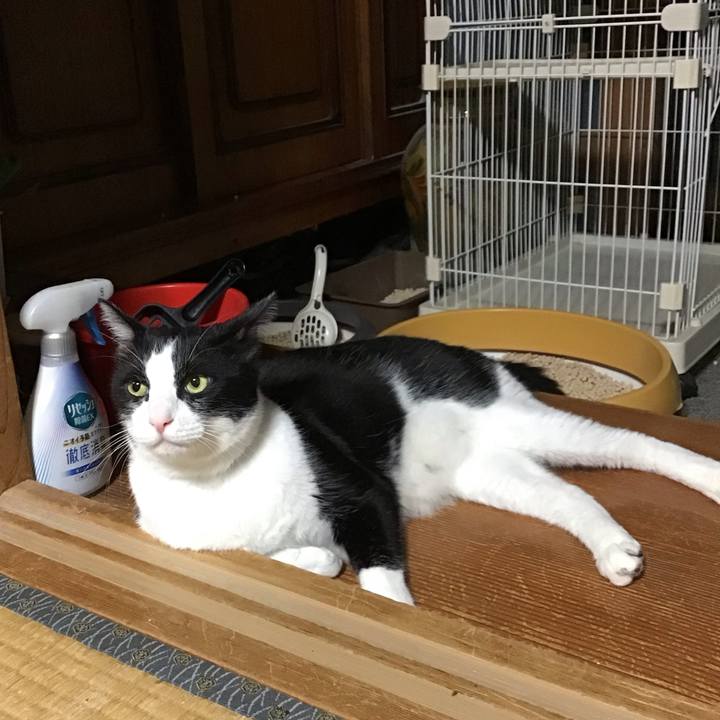 8bdcb1c0 dbbf 4a70 9497 c8a0f86bee6b 1756205875872