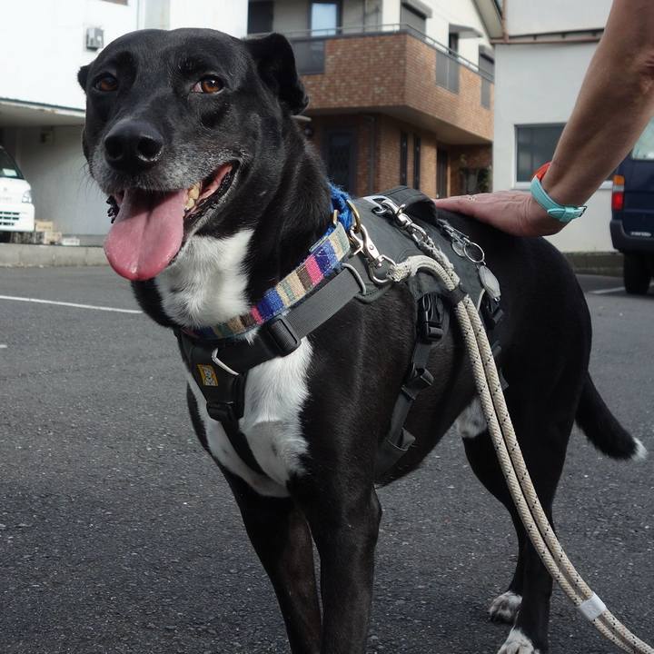 8bdcb223 6ab2 408d 884c dd6af82bb407 1657497801834