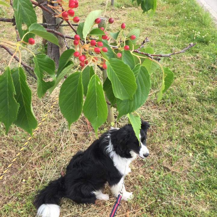 8bdce795 e68b 47bd a558 c7be53e34c8b 1588980412090