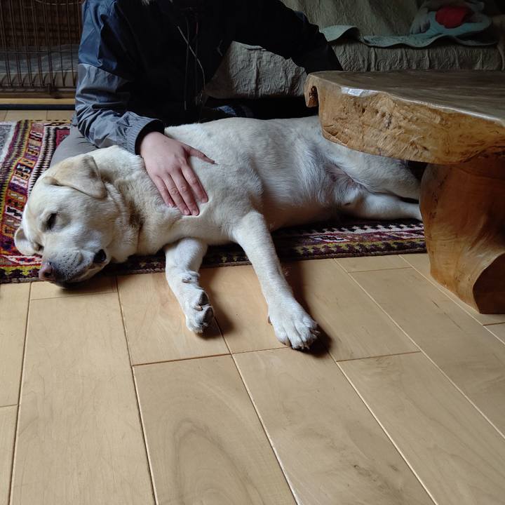 8bdcee93 793c 412e bfc5 1a9b6cc93f07 1682239992283