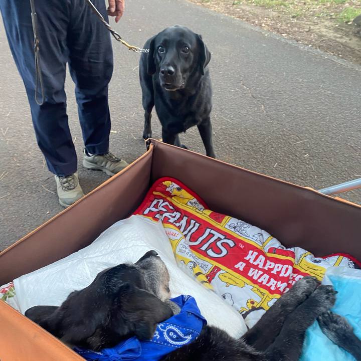 8bdd22d4 c395 4e7d a0d2 f8d1d29e4e8a 1753878899447