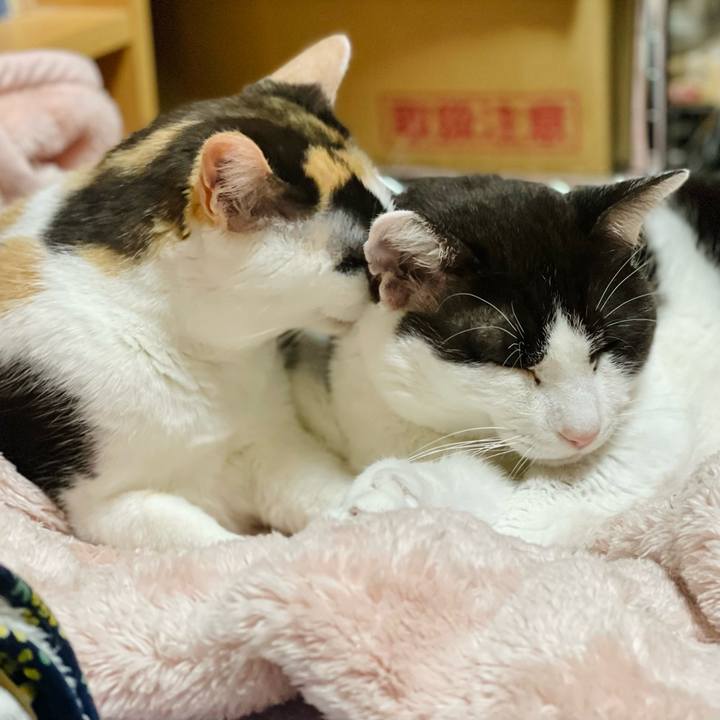 8bdd303a fc0a 4c65 addd 2196b5c91338 1652842839913