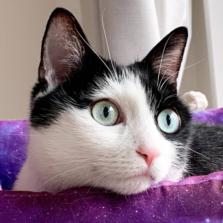 8bdd3915 9a42 4fee 8408 8c72d4a1fc67 1563152457618