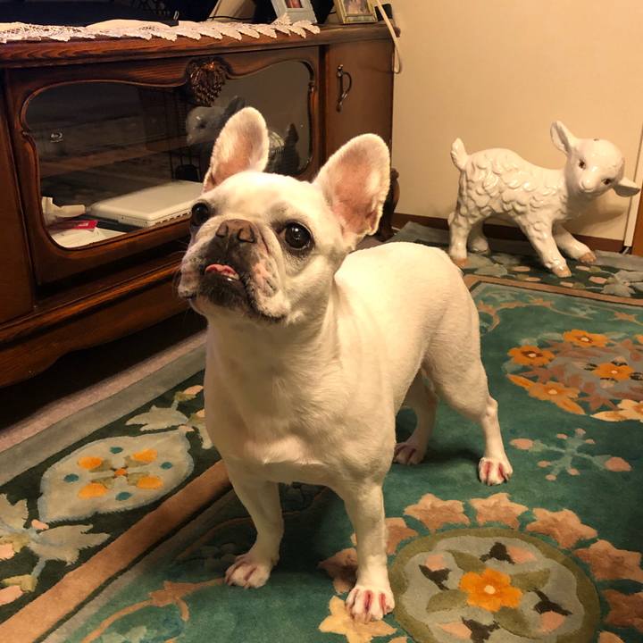 8bdd554f adc7 411b 8da7 97cd3c0af8f6 1589717387330