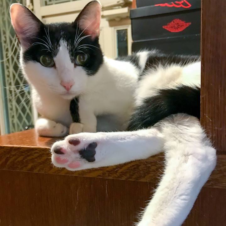 8bdd6602 2aeb 4263 81a5 904f0489e824 1509459518586