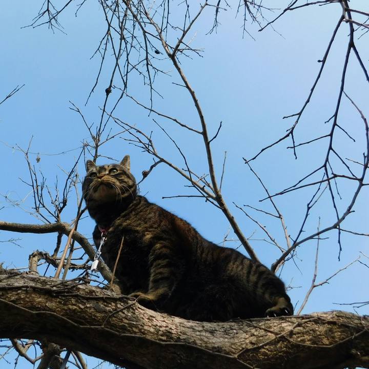 8bdd68bc 9959 46b7 be12 eddac200b44d 1518935864392