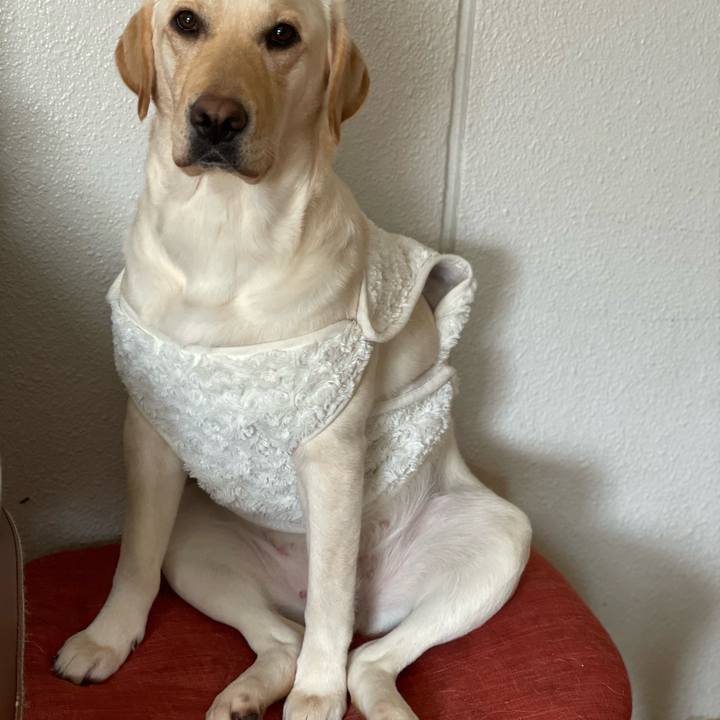 8bddecec 5b97 4638 a1ee e868b58bbf60 1674637714009