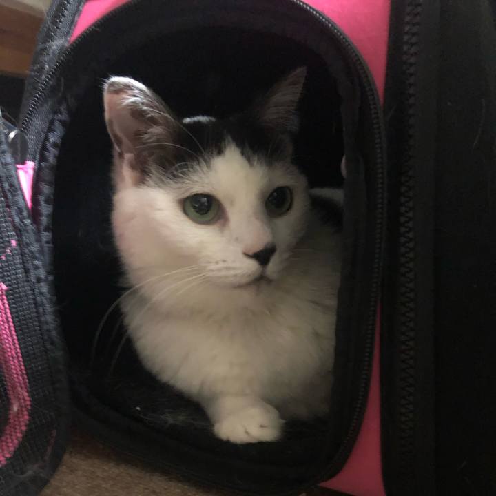 8bddfb08 1efe 4629 9515 1dad1dc2849d 1590234720517