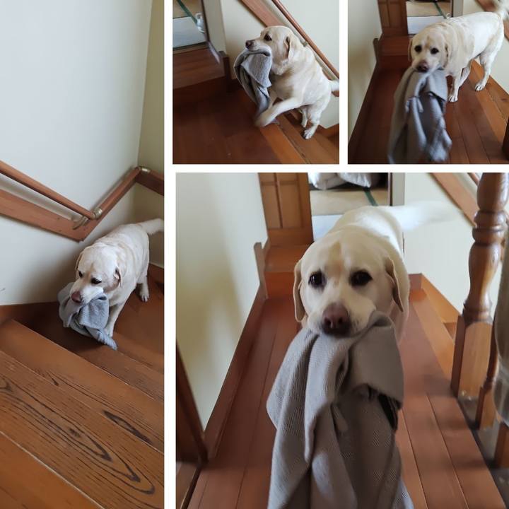 8bde11bb b676 4aec b1bd d97082c74322 1748409394794