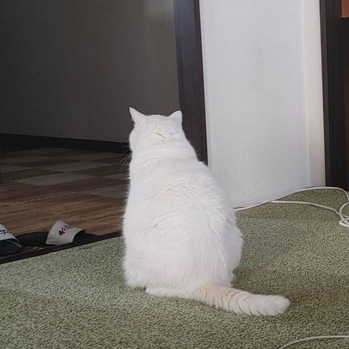 8bde21c6 d72d 4ad4 8e37 30b5279d78f1 1751700512133