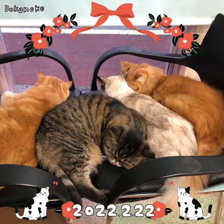 8bde2527 adcc 461c 881e a2939e6ec7a3 1645495268442