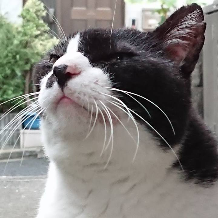 8bde5fd9 9a37 419a 94ea 8d9965ad395d 1631607461923