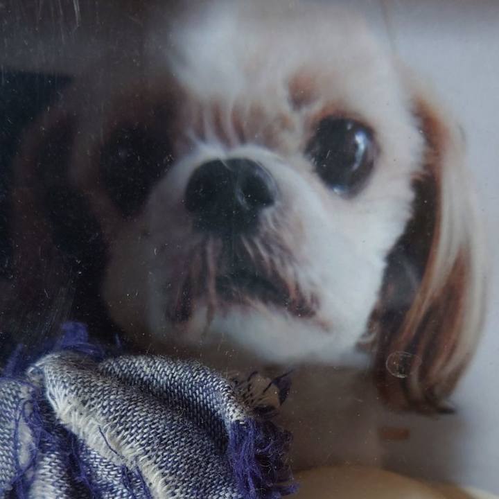 8bde6c7b 43c1 4140 a984 d991f49d440a 1654096452858