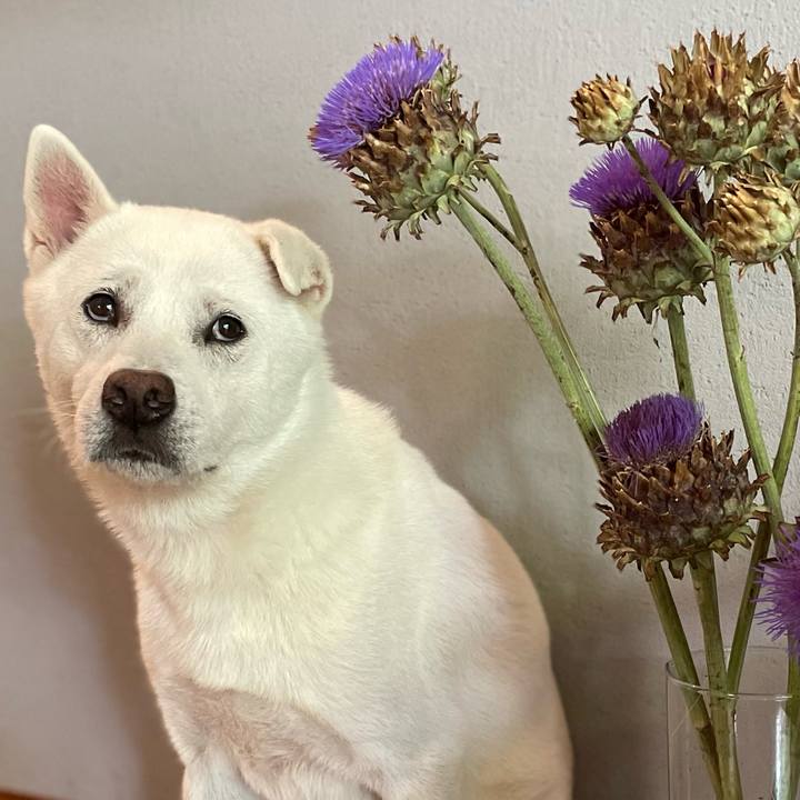 8bdea18e 61ec 445c a12f 18f9263a9bfa 1752902351698