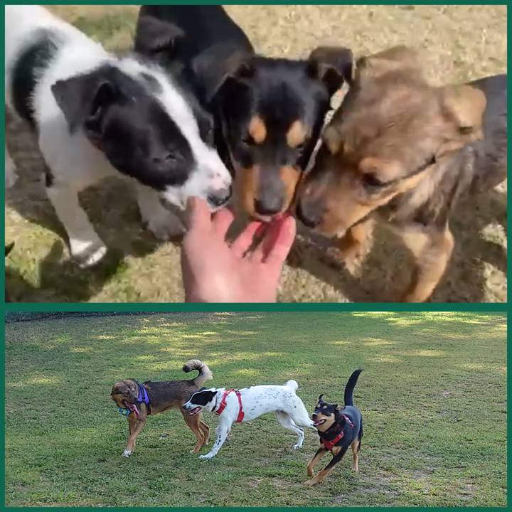 8bdeb14d 66c3 420f aad5 5926cf05cef0 1693716760532