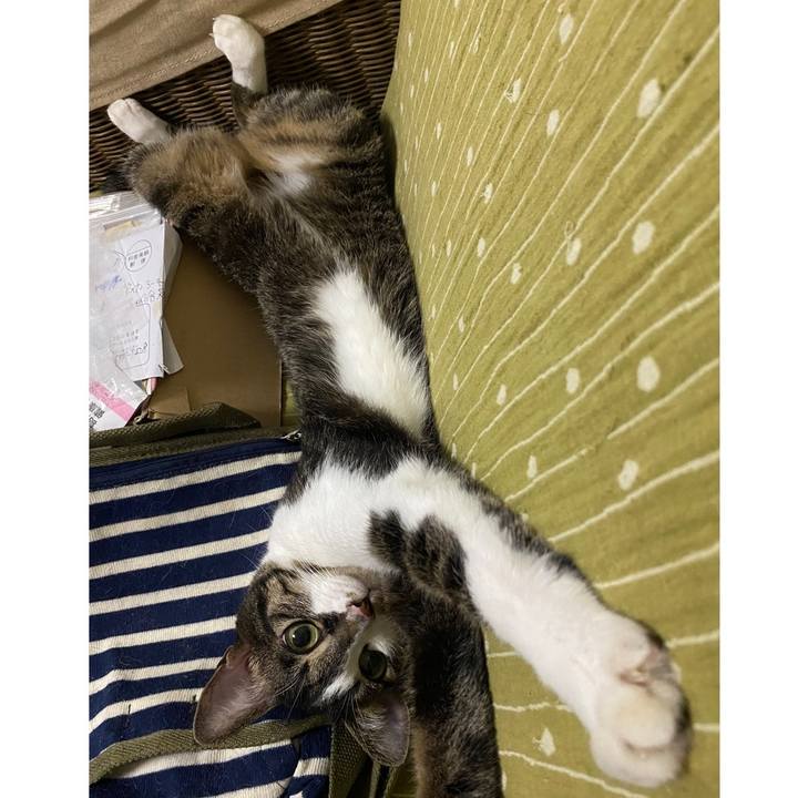 8bded562 02e8 4263 a4b1 347cc62341f4 1694808781322