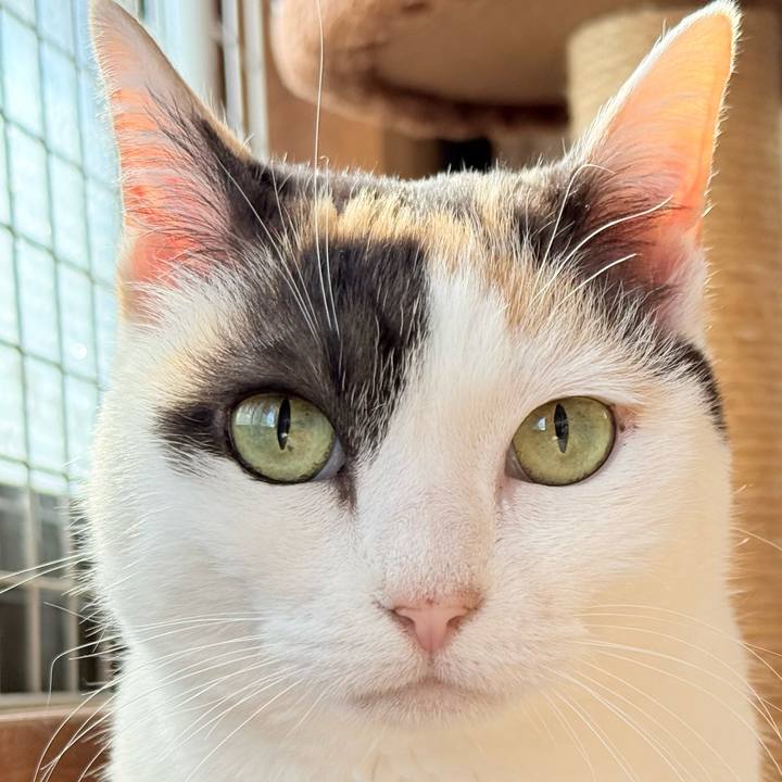 8bdefc9c 67d1 4d7a a4d3 c09c03c963ad 1774926001671