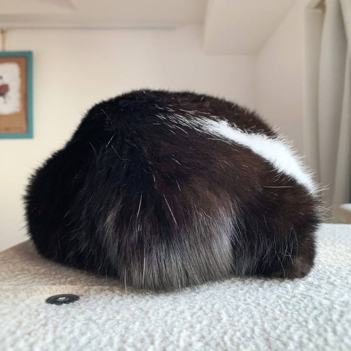 8bdf2002 27be 42ce 9bb5 721a395561b3 1569797567088