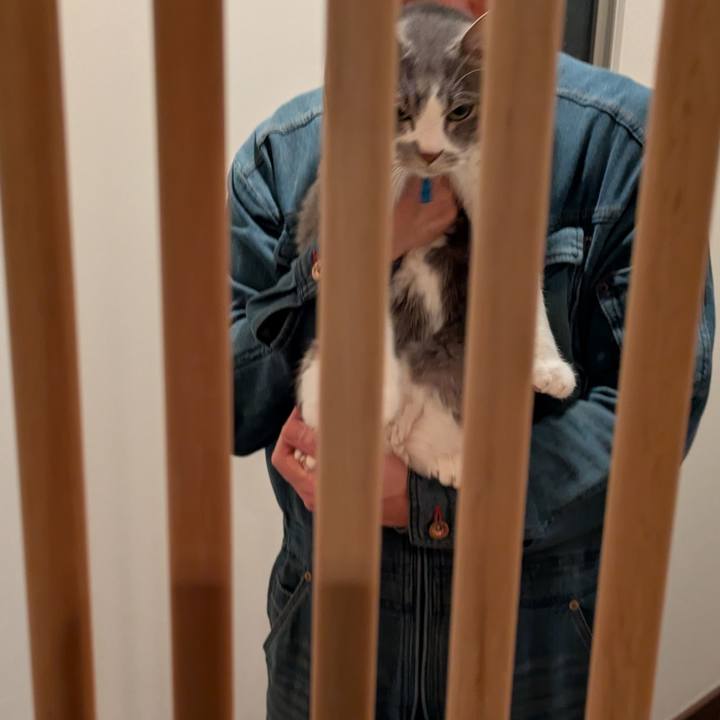 8bdf259d af99 4265 91ac a9d2e20558bd 1766844918286