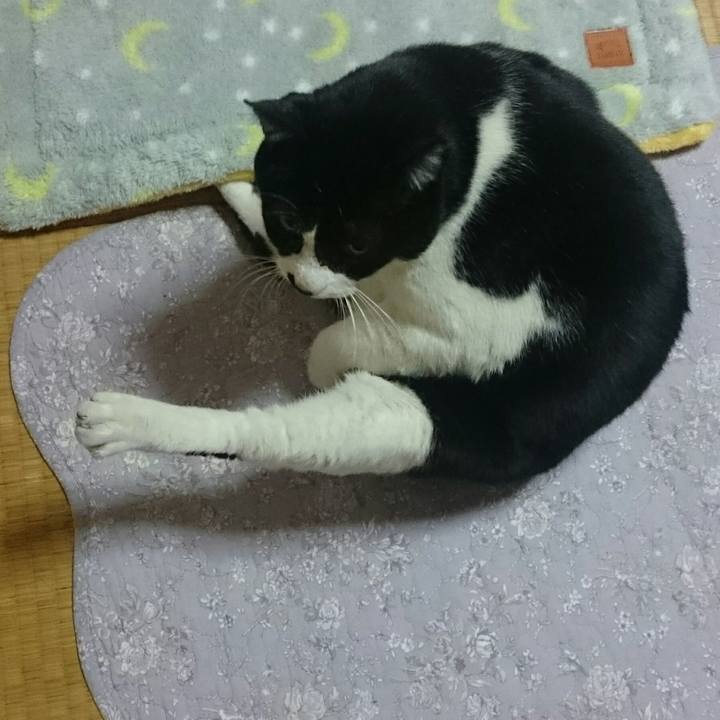 8bdf8837 7e29 488c 96f2 f3900543443f 1513569224892