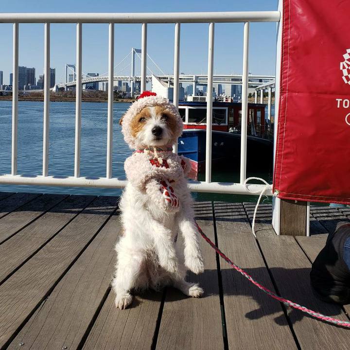 8bdfda91 b0f0 415b 817b 439194279c82 1581426125959