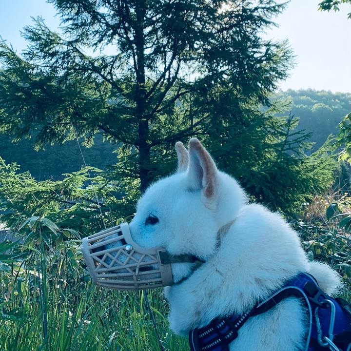 8bdfeff7 9a54 4d93 b801 d4100041d245 1621462641630