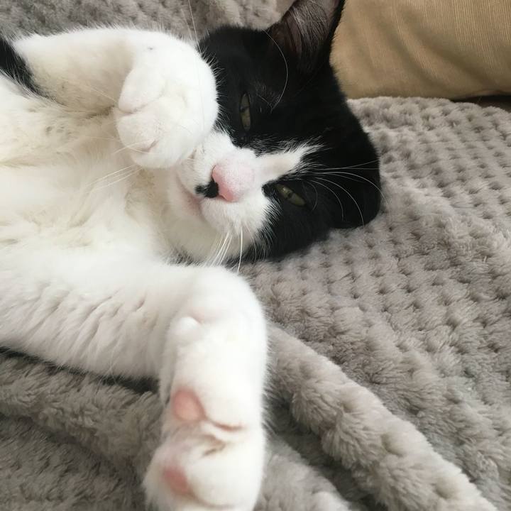 8bdffc0c 4792 47b0 a81f cc401b1c6a47 1541290051081