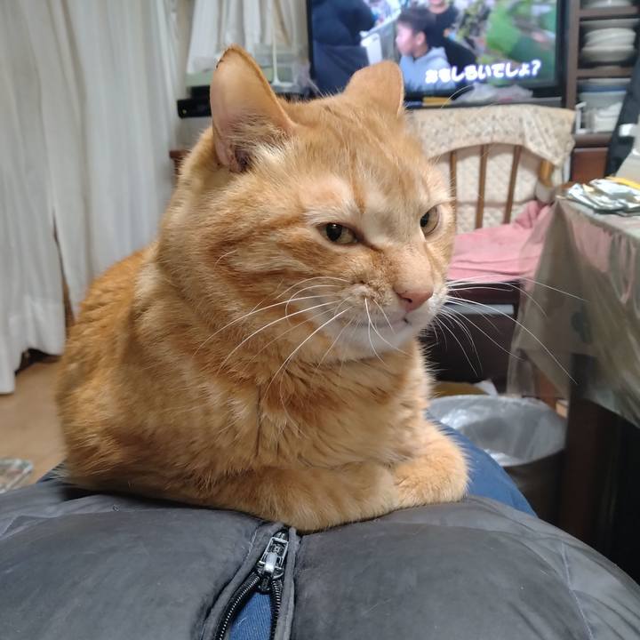 8be03d69 62ea 4145 a832 b41f7189159e 1711367602797