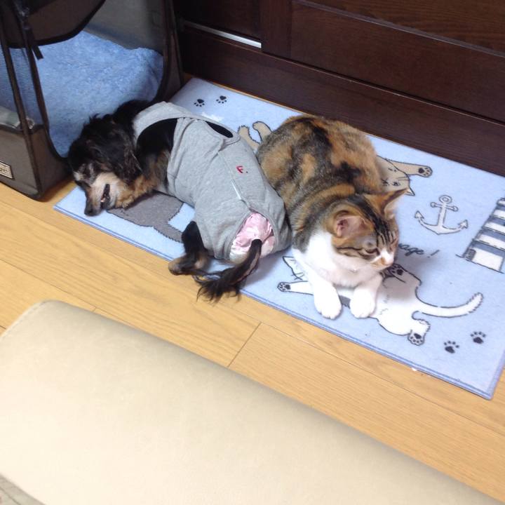 8be05e91 05ab 4b80 b0a0 687d4758c5fe 1645066689067