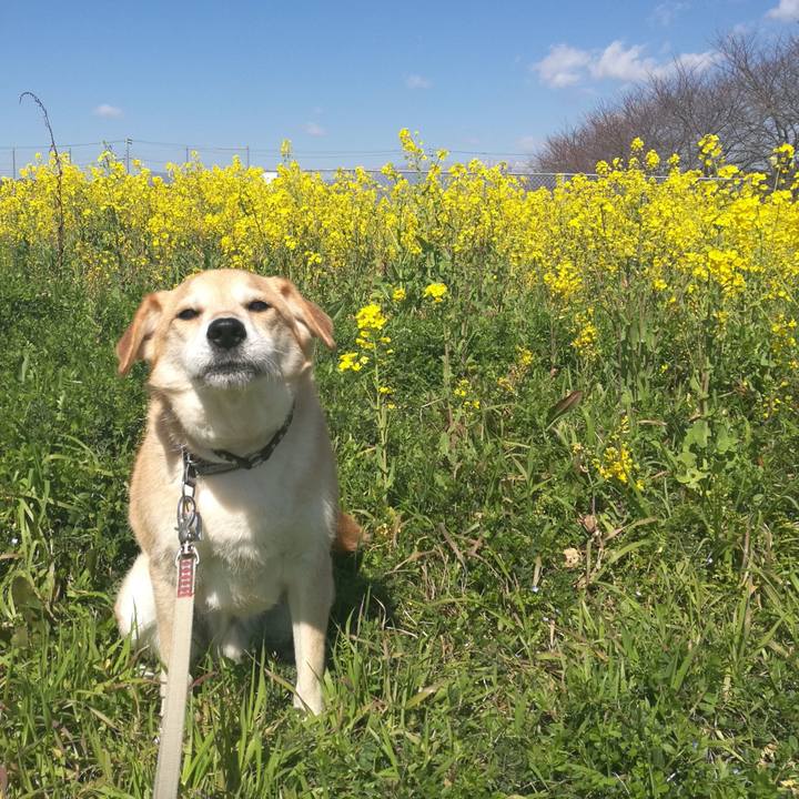 8be06521 98ea 498c b68a d58c3478129e 1552014672581