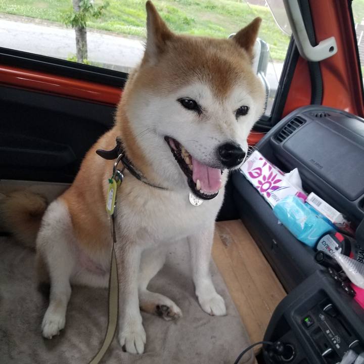 8be06af8 d62a 4467 8907 16ccfa950364 1657867803094