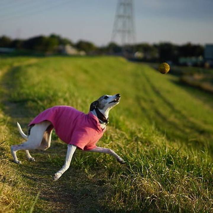 8be0923b 6cf2 4a54 a621 b08ecc04c1e8 1525609968356