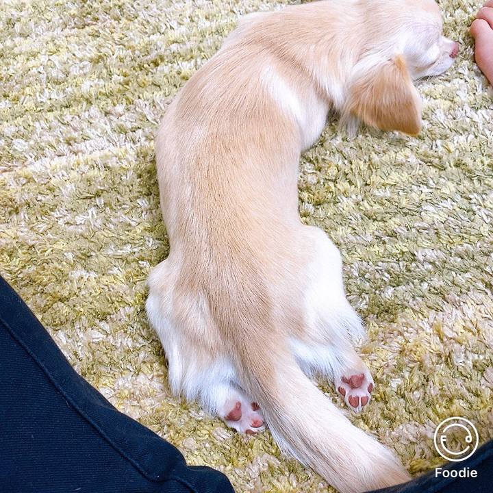 8be092d6 b848 4120 90f1 07248158e0d7 1600565454763