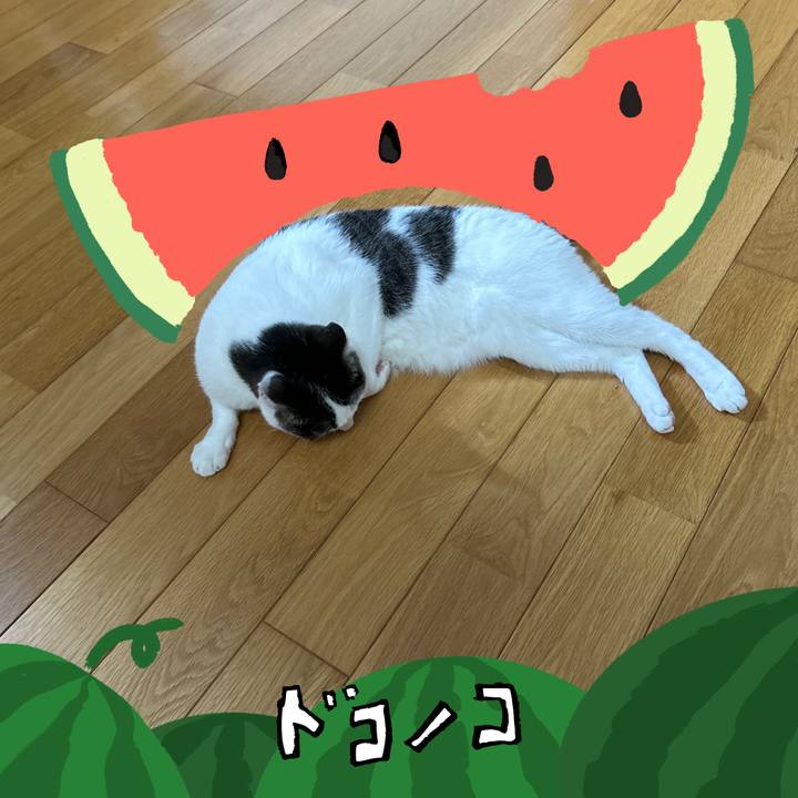 8be0ab82 fec7 445f a5e1 7d4acc57e94c 1720908649432