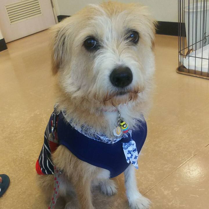 8be0b6a7 0c21 4da2 a536 8dcd272ceb7e 1507967389901