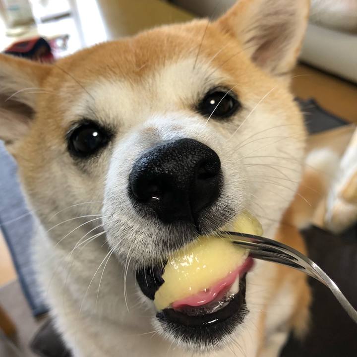 8be0cf48 7479 4f38 95c8 bb3037a56aac 1595921573428