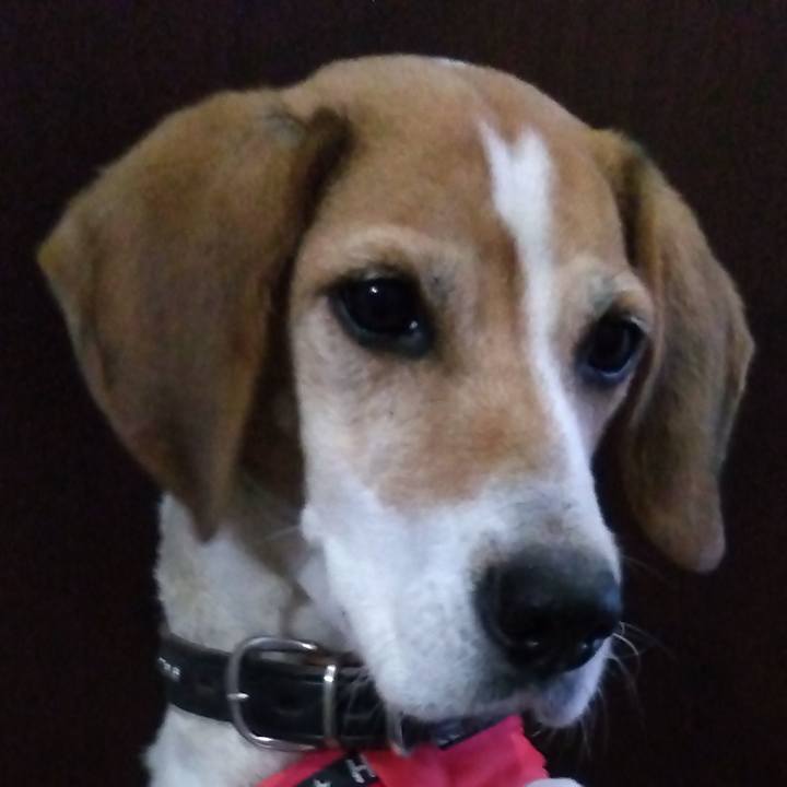 8be10395 e087 405b bcf3 4d68344ed0ca 1699790535487