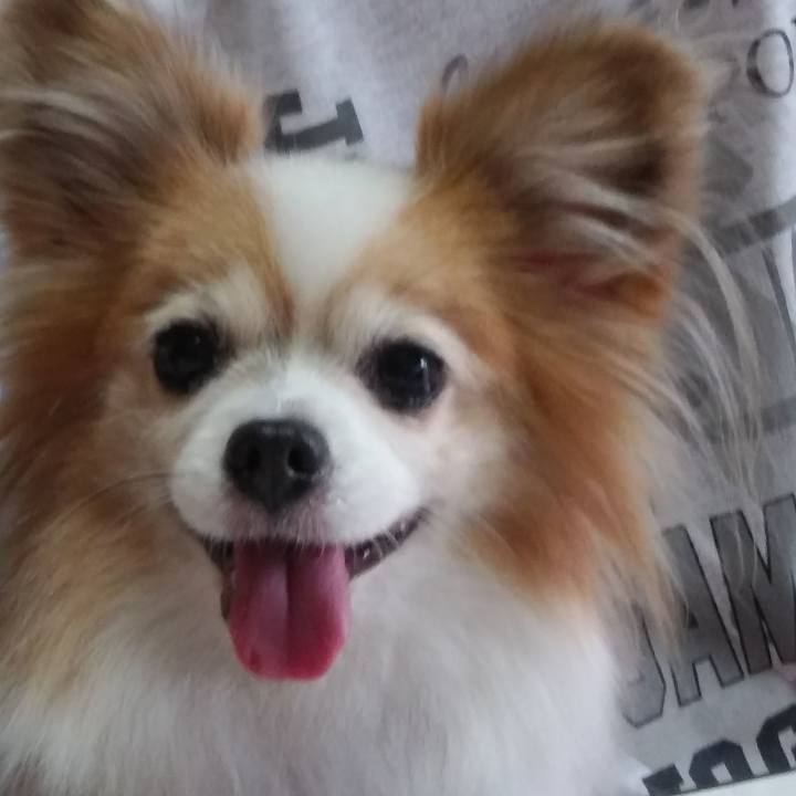 8be126c1 344d 418c 8330 4790df742fd3 1534062979266