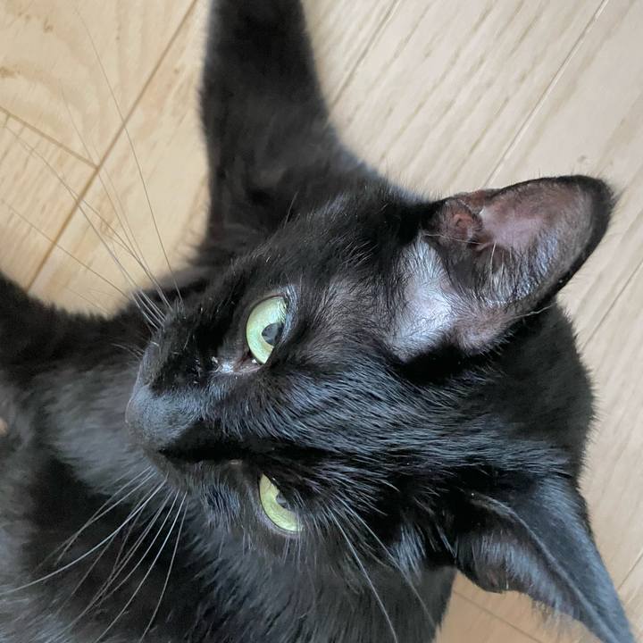 8be14eb4 9a7d 464a a930 fe4345c46d6a 1646441595259