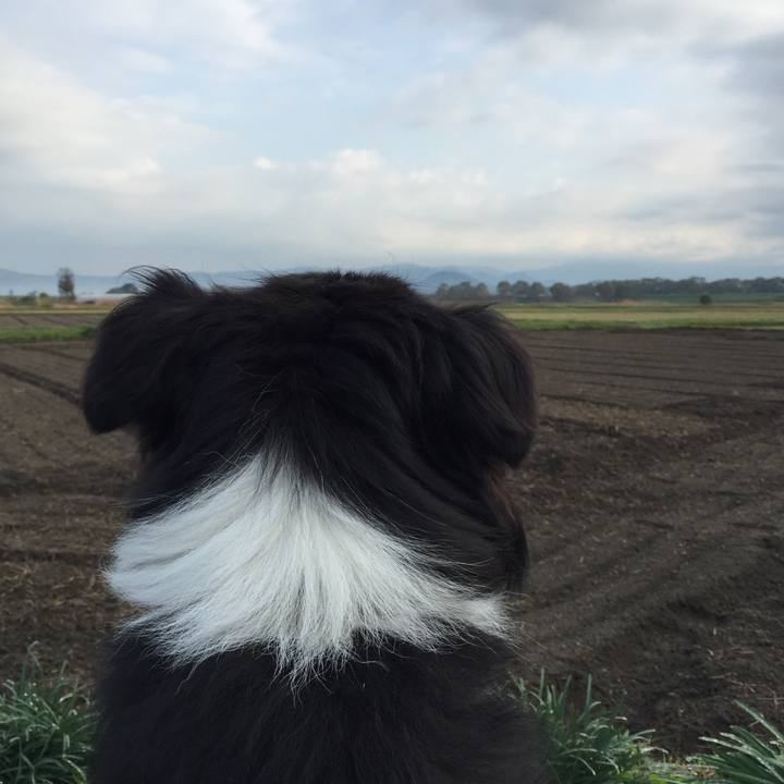 8be15eb1 2edd 4766 b0fc f3b84c71d8ed 1542413509025