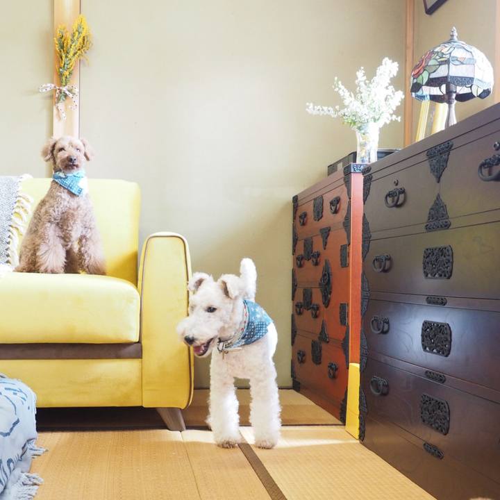 8be166ff 37a4 465c bb8a 5c8537476a9c 1585663922343