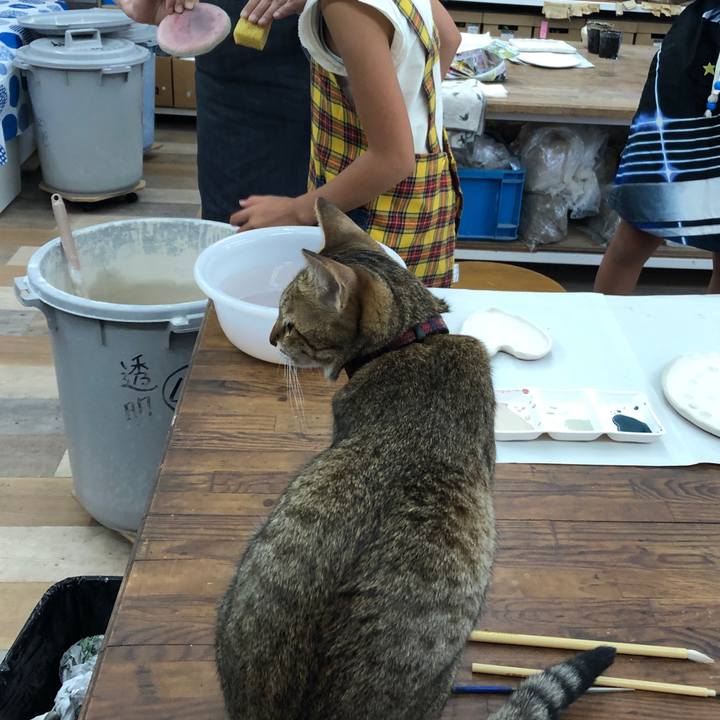 8be17878 6a94 42ff a0c4 120176ccc00a 1627812380265