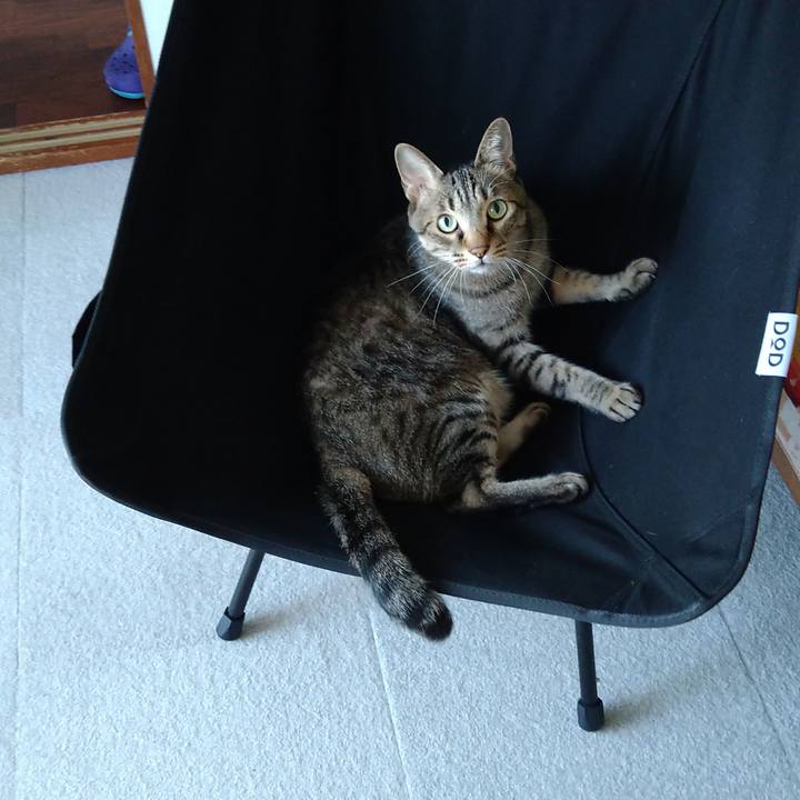 8be1ae36 fd5d 4b01 909b be08d7fe7556 1664579042691