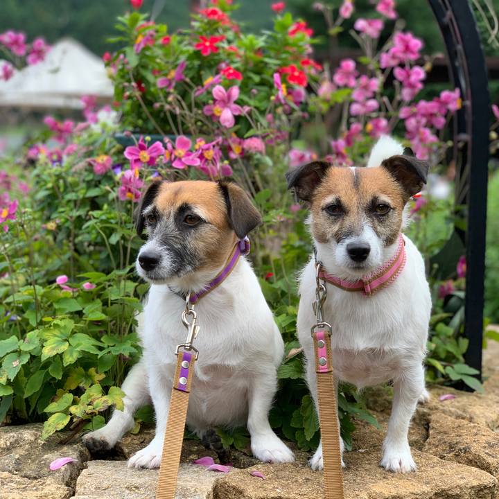 8be1eb12 b4a9 42fb 9cb2 1318c324224b 1600600613024